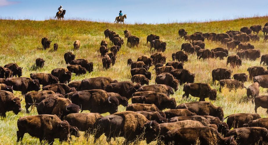 Photo by Travel South Dakota 5 Photo by Travel South Dakota 5